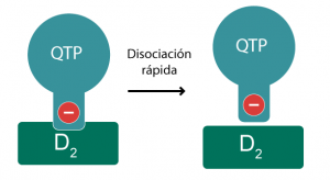 Disociación rápida de receptores D2