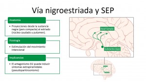 7- Vía nigroestriada