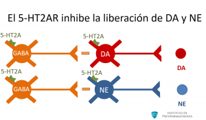 18-Receptores-5HT2A