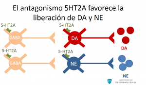 19-5HT2A-dopamina-norepinefrina