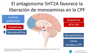 20-antagonismo-5ht2a