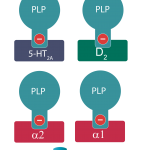 La paliperidona es un antipsicótico de segunda generación. Tiene afinidad por receptores 5HT2A, D2, alfa 1 y alfa 2